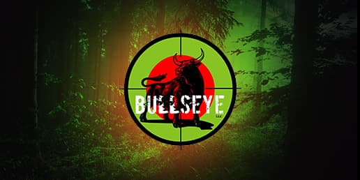 Bullseye logo