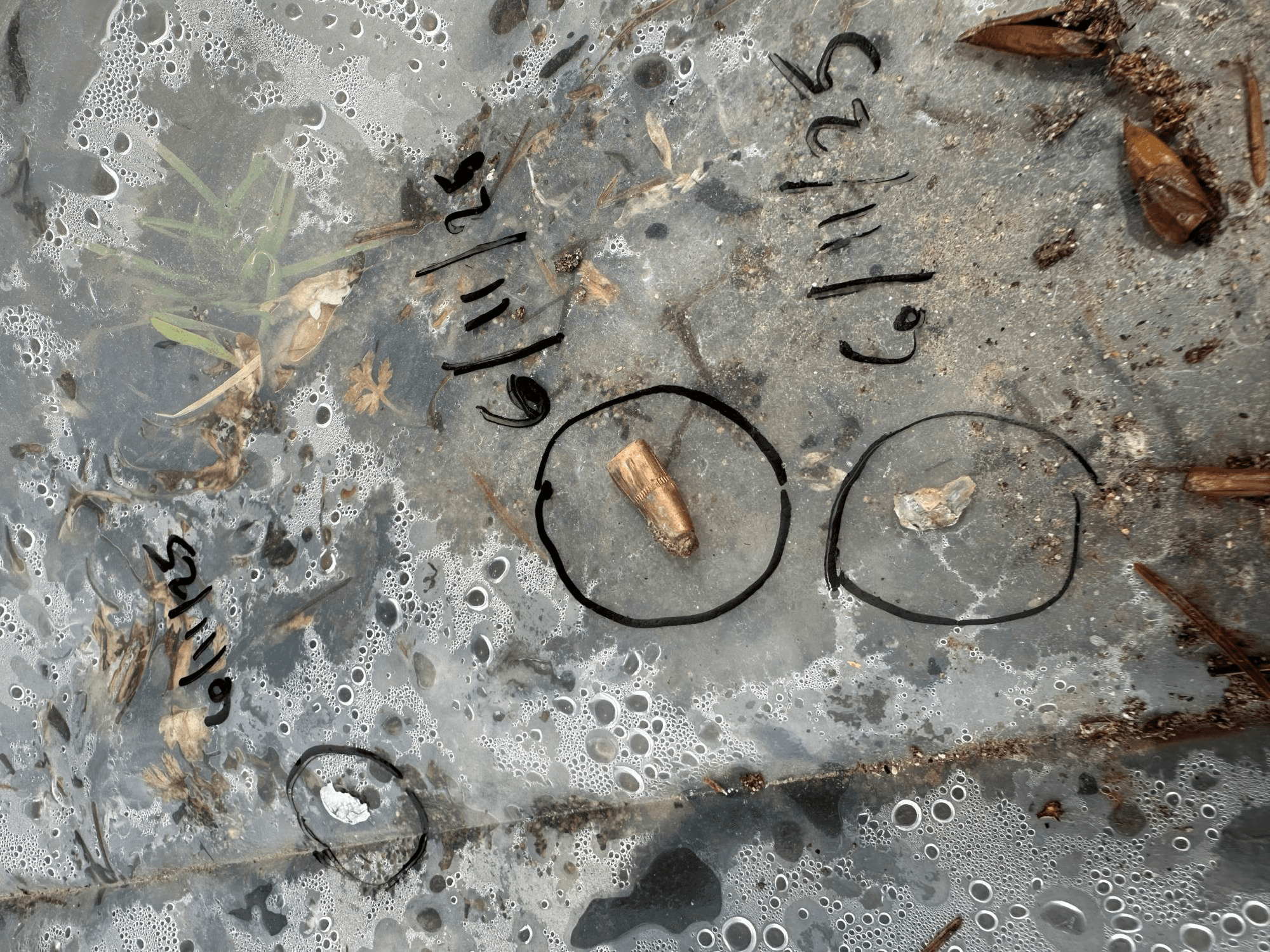 Whatcom health department warns Custer gun range logo