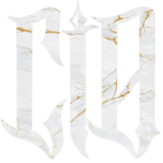 Competitive Indoor Airsoft Tampa logo