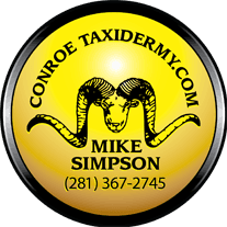 Conroe Taxidermy logo