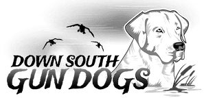 Down South Gun Dogs logo