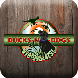 Ducks N Dogs Hunt Club logo