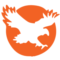 Eagle Shooting Sports logo