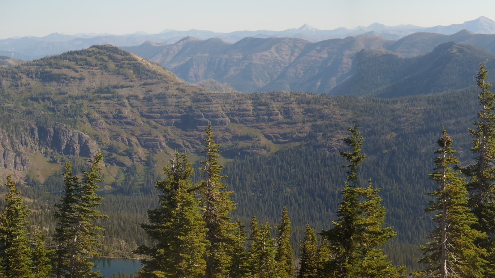 Swan Mountain Wilderness Guide School logo