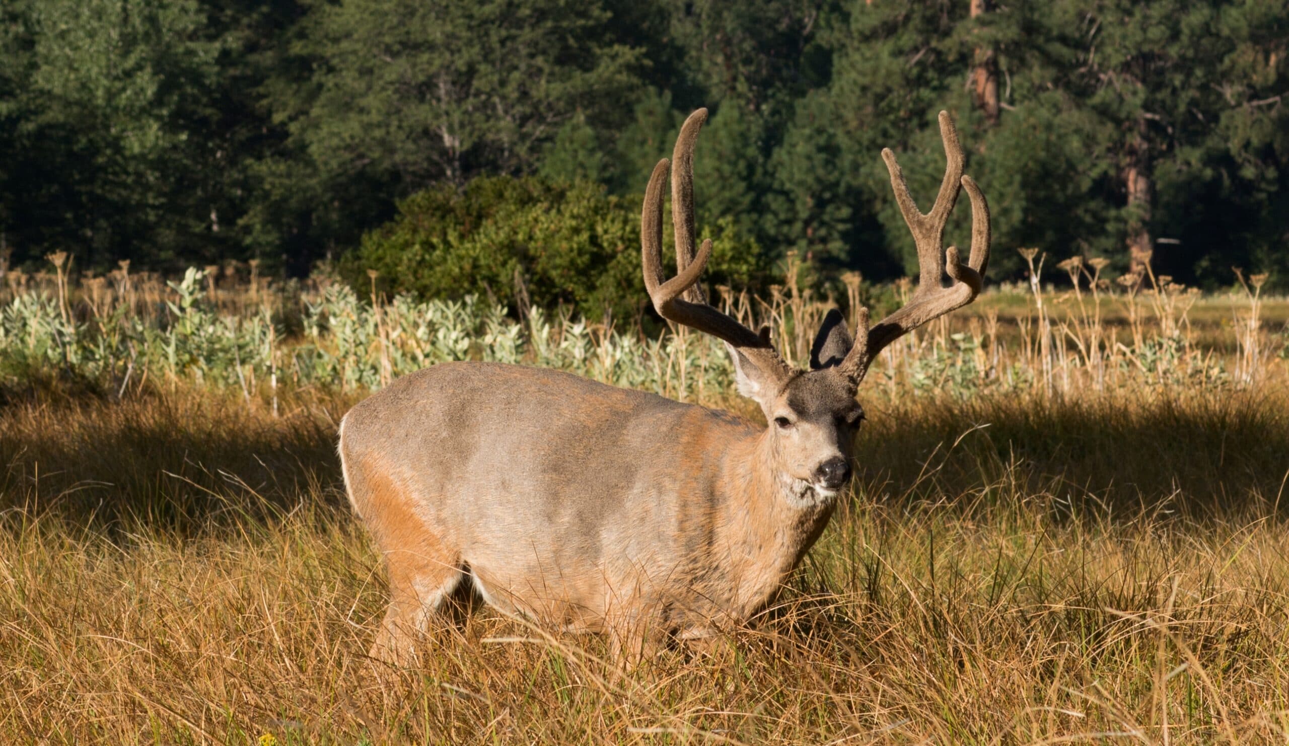 H&H Archery Supply logo