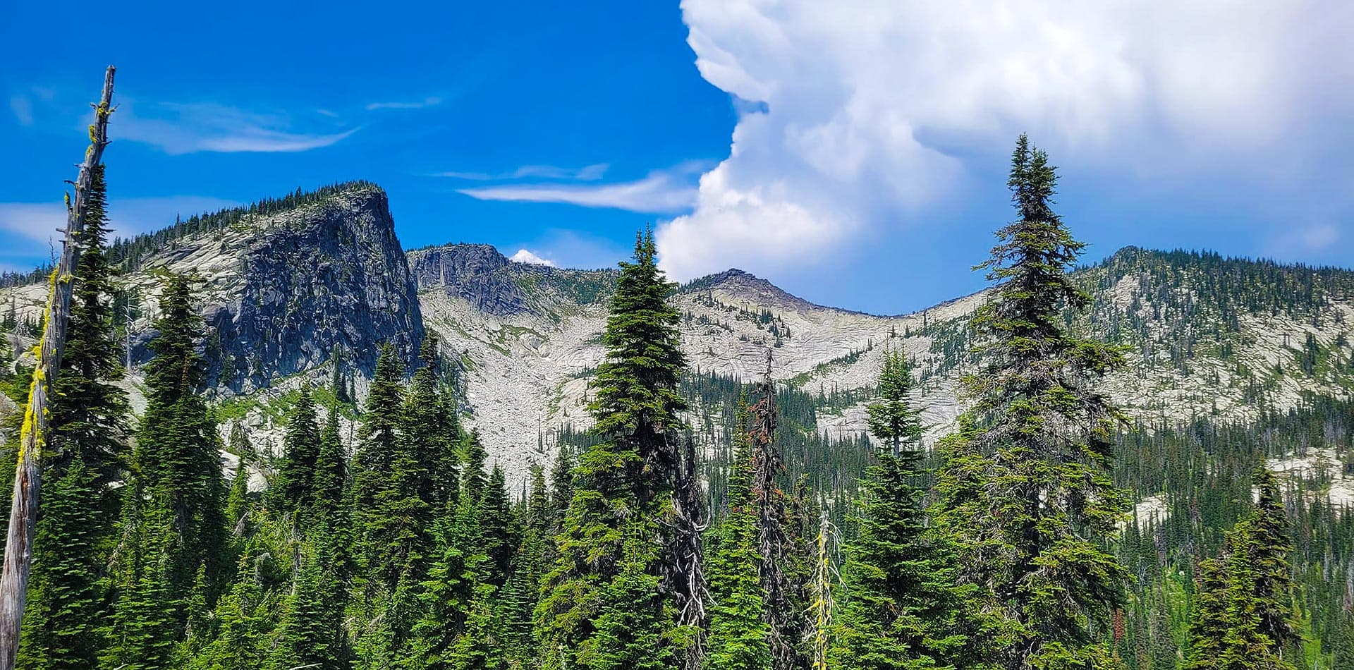 Lion's Head Outfitters logo