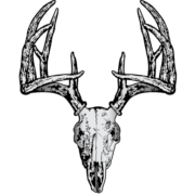 Long Range Archery and Firearms logo