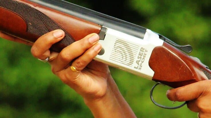 Npf Bassetts Pole logo