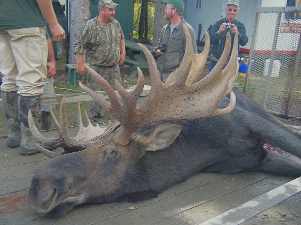 PB Guide Service logo