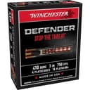 winchester .410 Bore PDX1 1