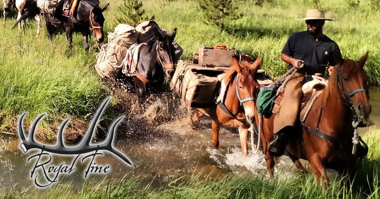 Royal Tine Outfitters logo