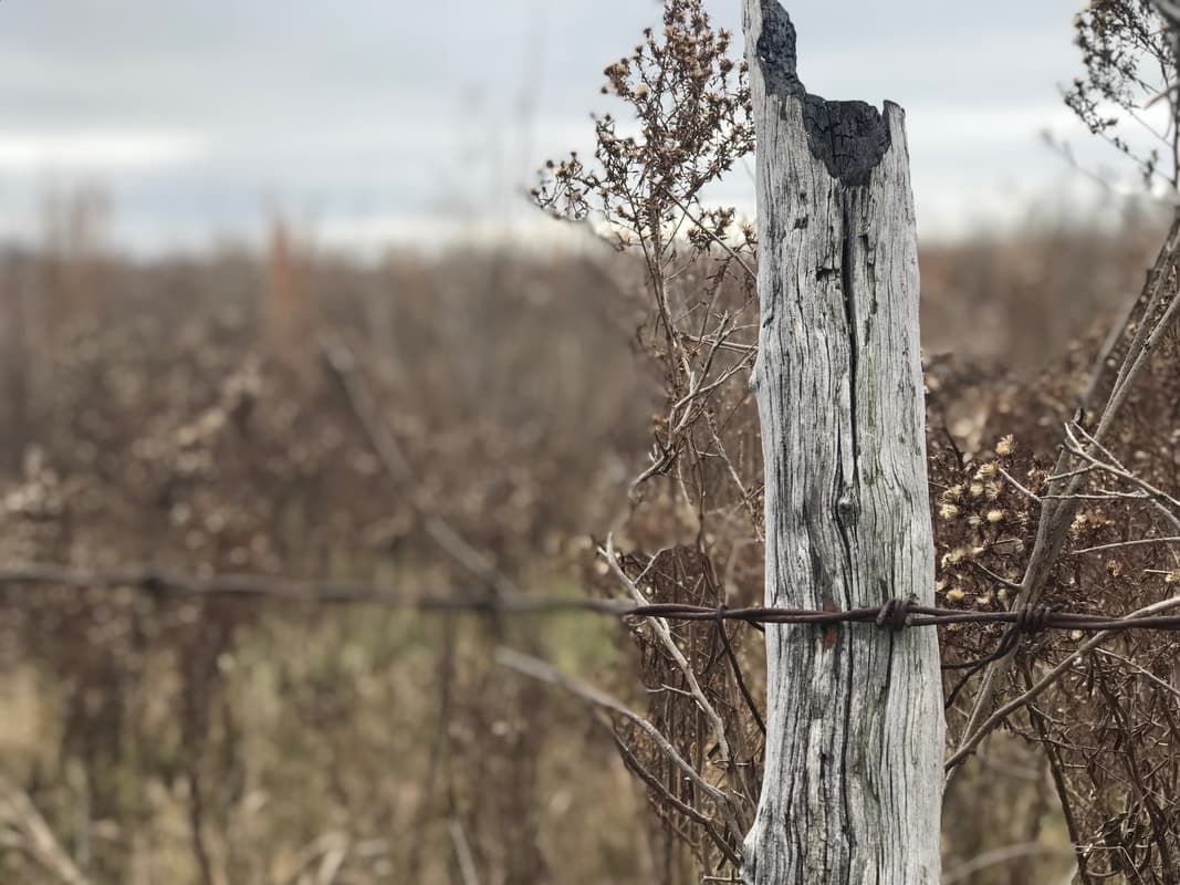 Townsend Outdoors logo