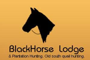 Black Horse Lodge Tuscaloosa, Alabama - Ultimate Dove Hunting logo