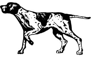 The Wright Group logo