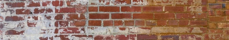 Youngs Enterprises logo