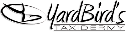 Yardbird Taxidermy logo