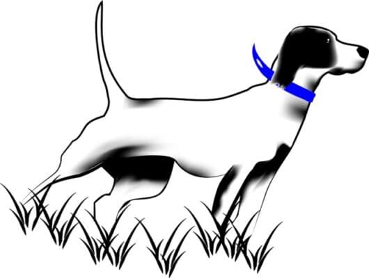 Blue Collar Bird Dogs logo
