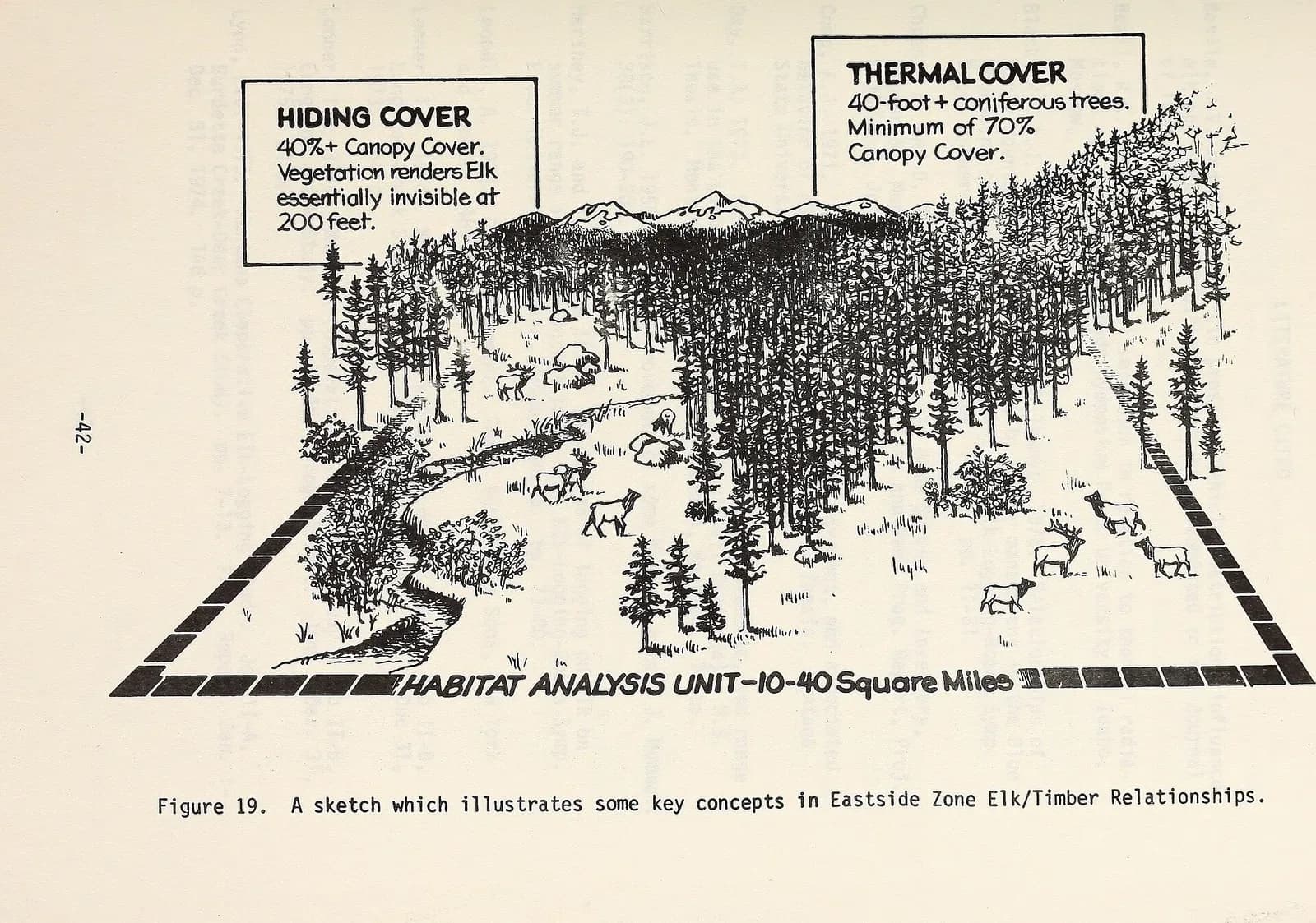 Rocky Mountain Elk Foundation
