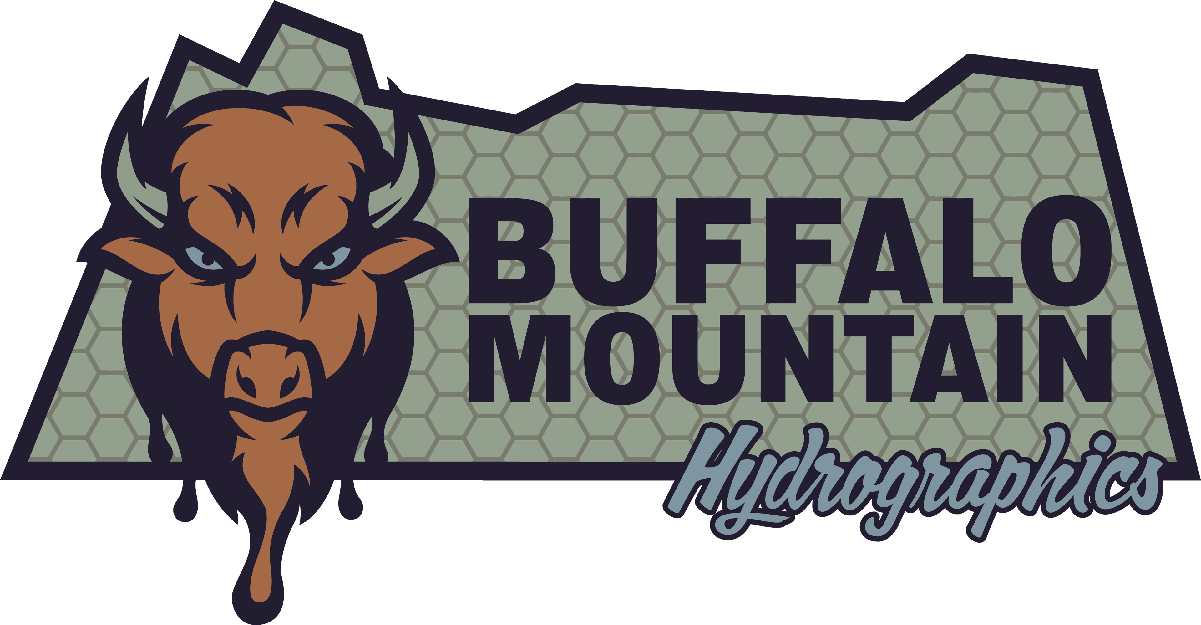 Buffalo Mountain Hydrographic S logo