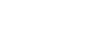 Syndic US USA logo