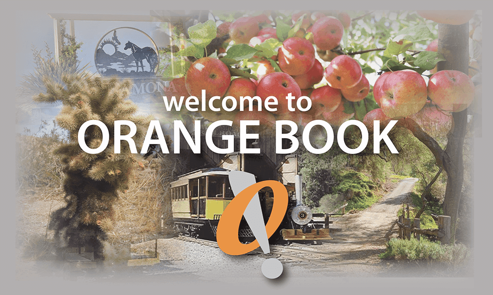 Orangebook logo