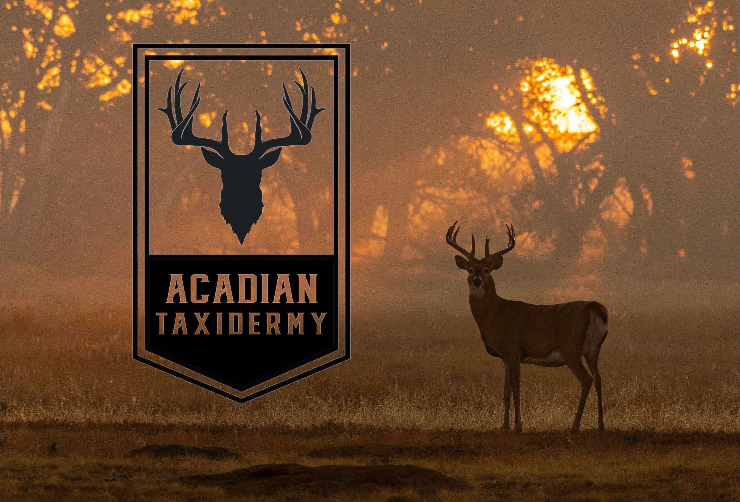Deer Mounts, Taxidermy, Outdoors logo