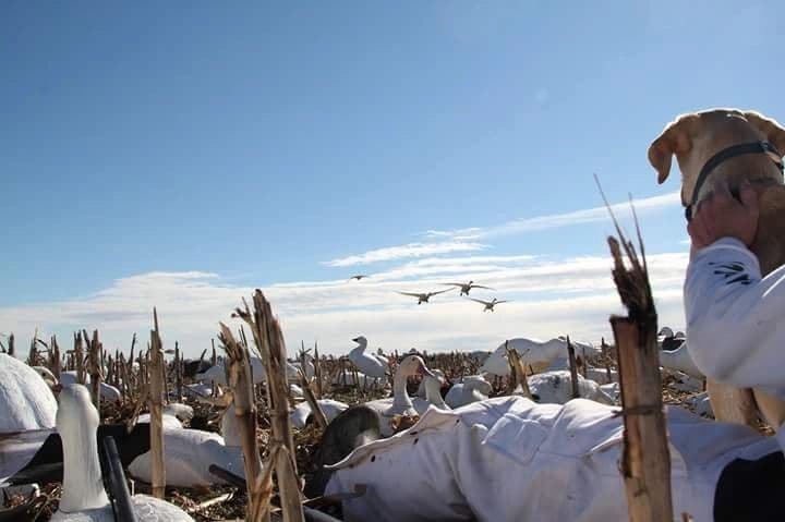 Fourth Generation Outfitters logo