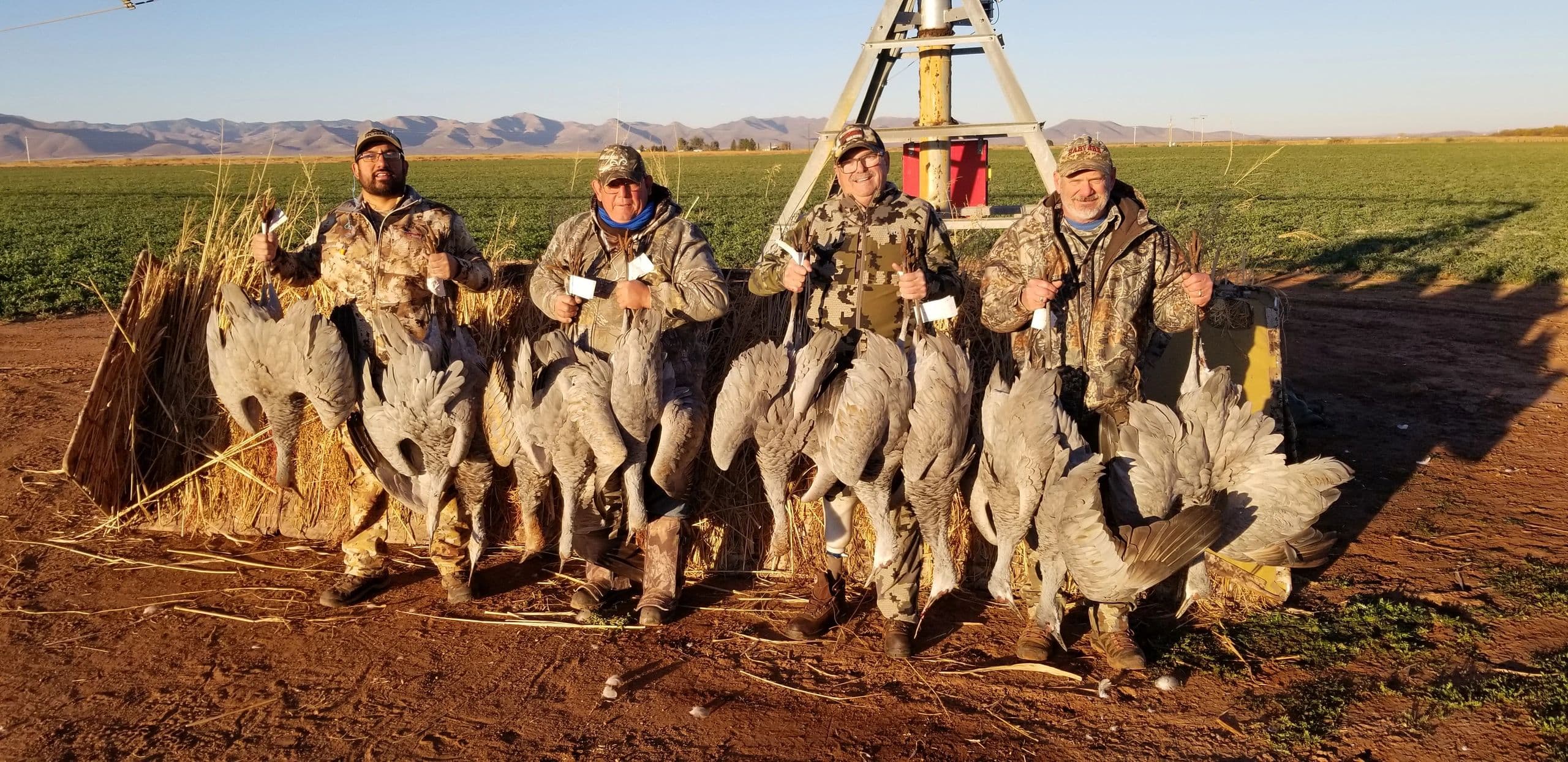 AZ Desert Waterfowl logo