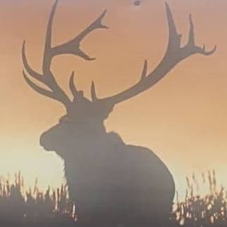 Wapiti Bowmen of Oregon logo