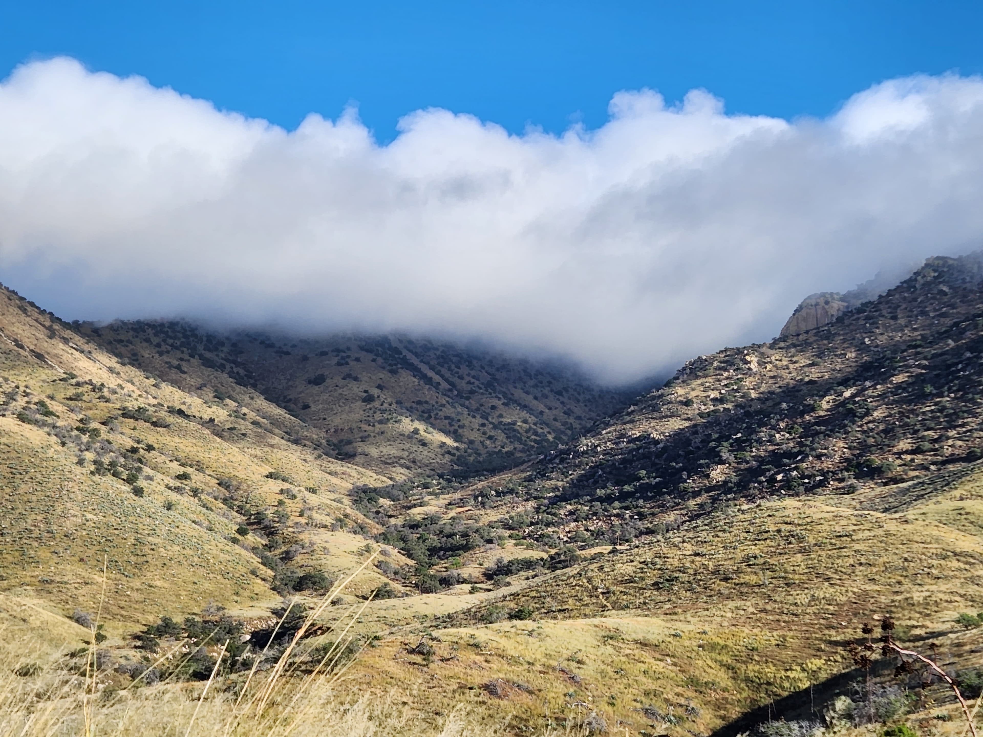 Archery and Optics logo