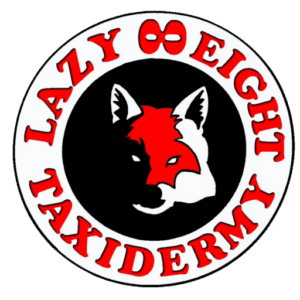 Lazy Eight Enterprises logo