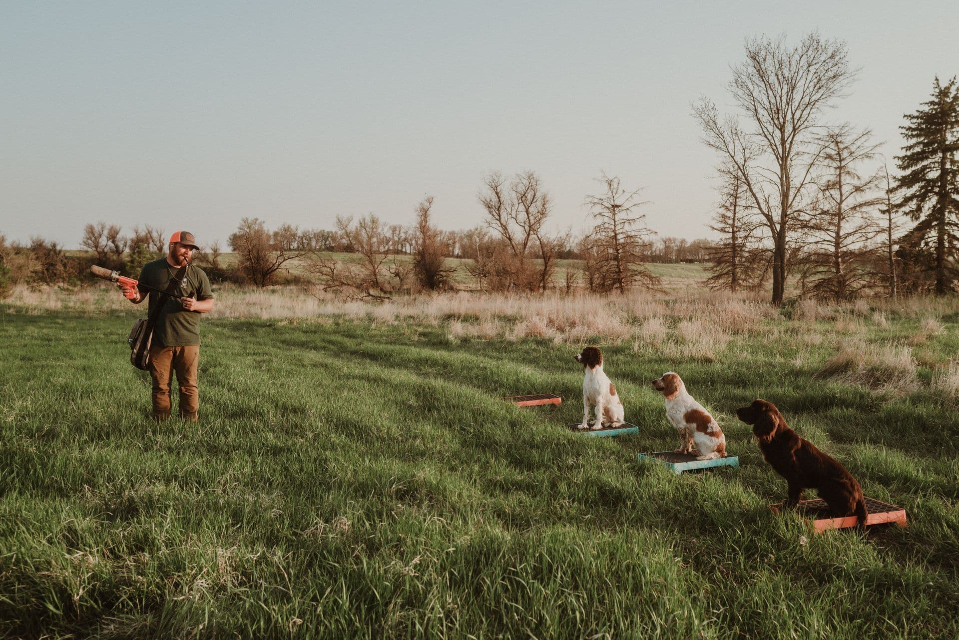 Section 35 Gundogs logo