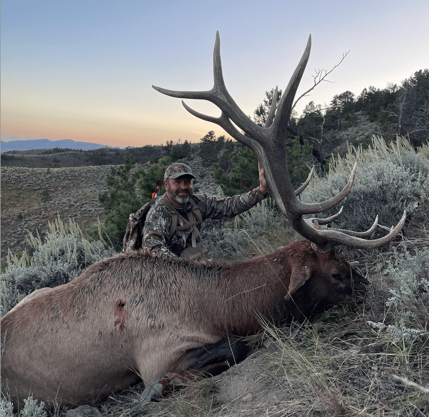 Five Star Expeditions logo