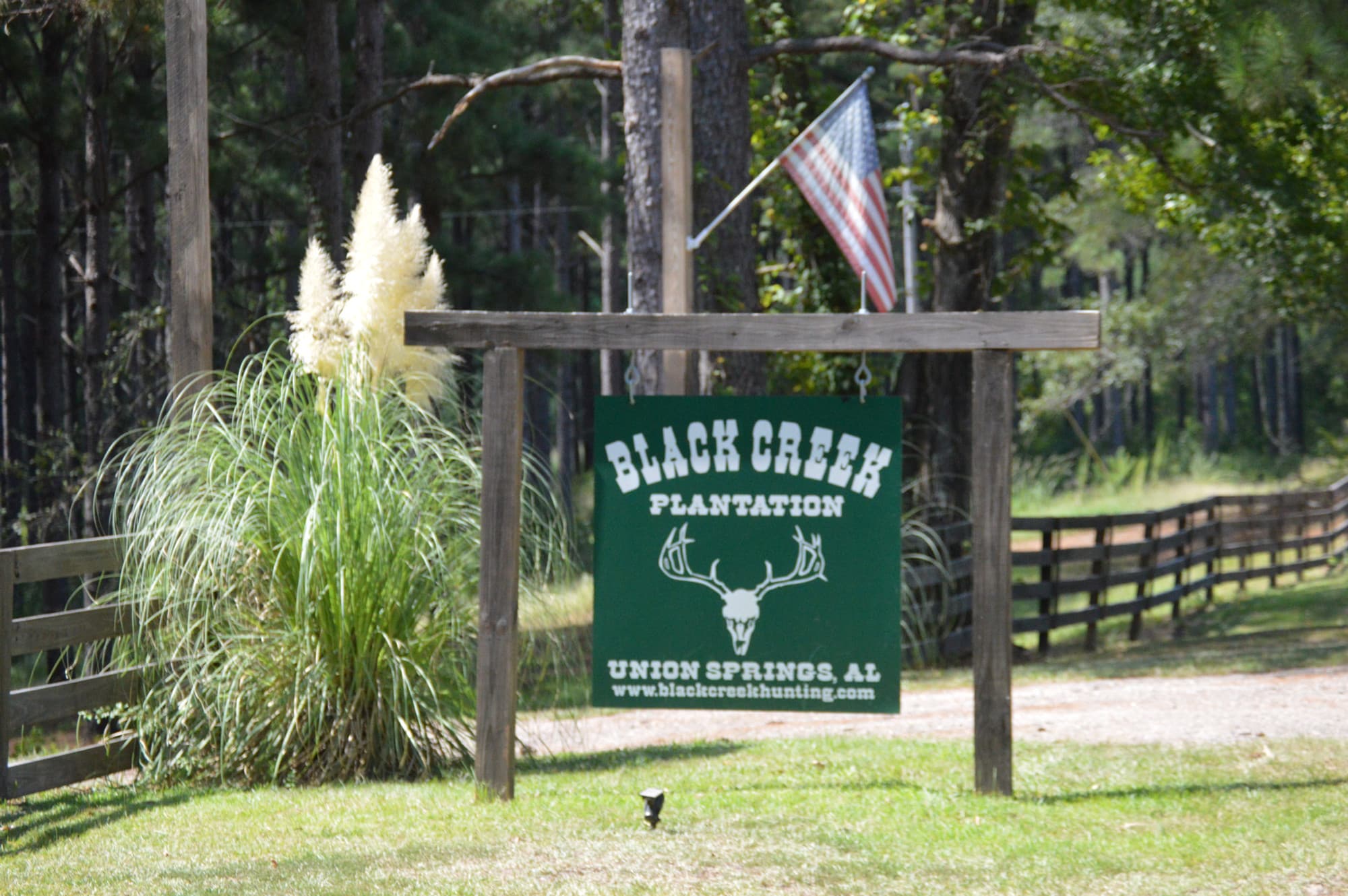 Duck Hunts at Black Creek Plantation of Alabama logo