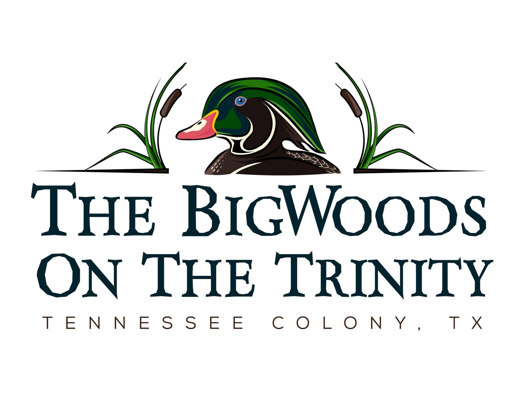 The BigWoods on the Trinity logo