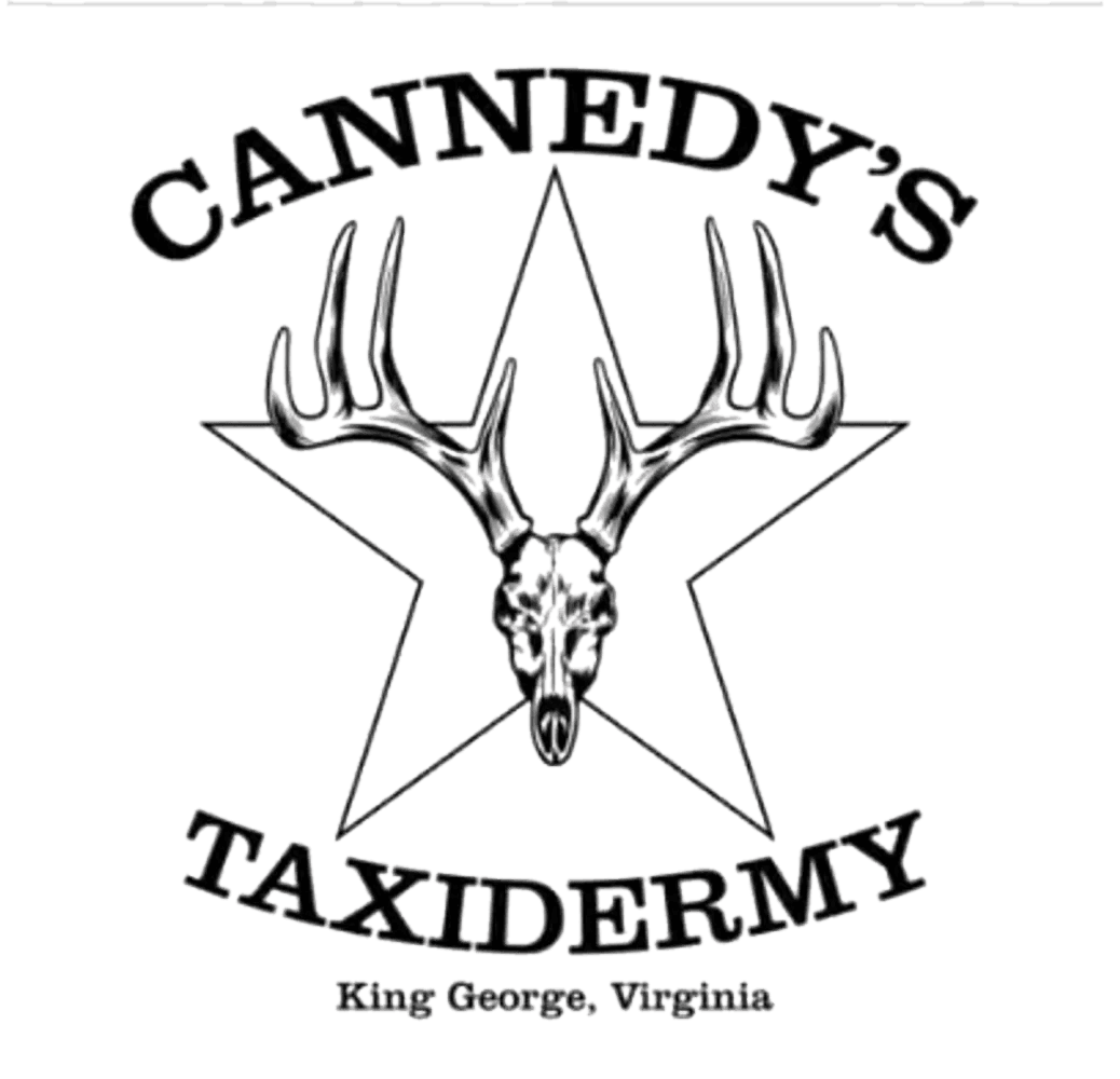Expert Taxidermy Services in King George, VA logo
