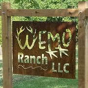 WEMO Outfitters logo