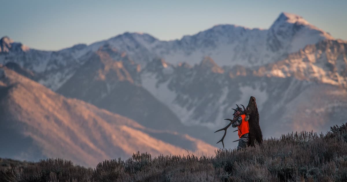 Bull Basin Outfitters logo