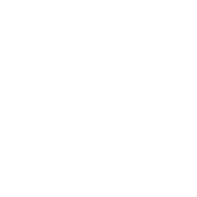 CNC Firearms logo
