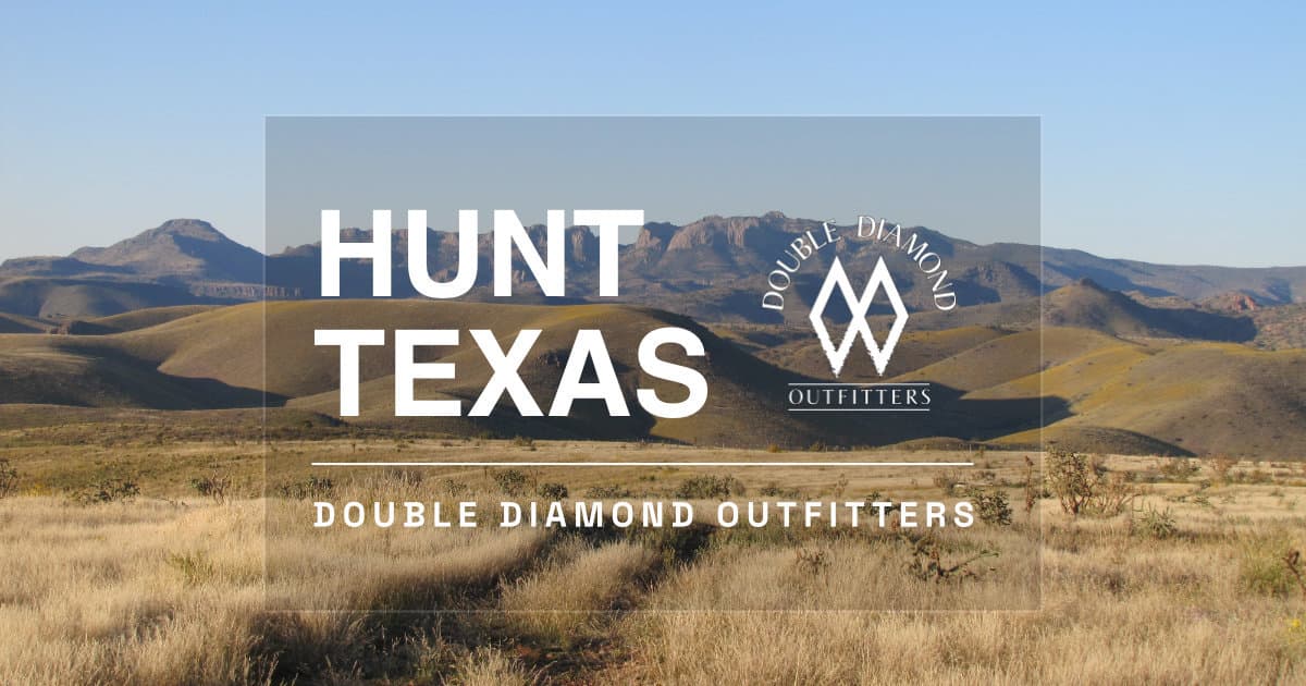 Double Diamond Outfitters logo