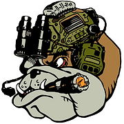 Bulldog Tactical Group logo