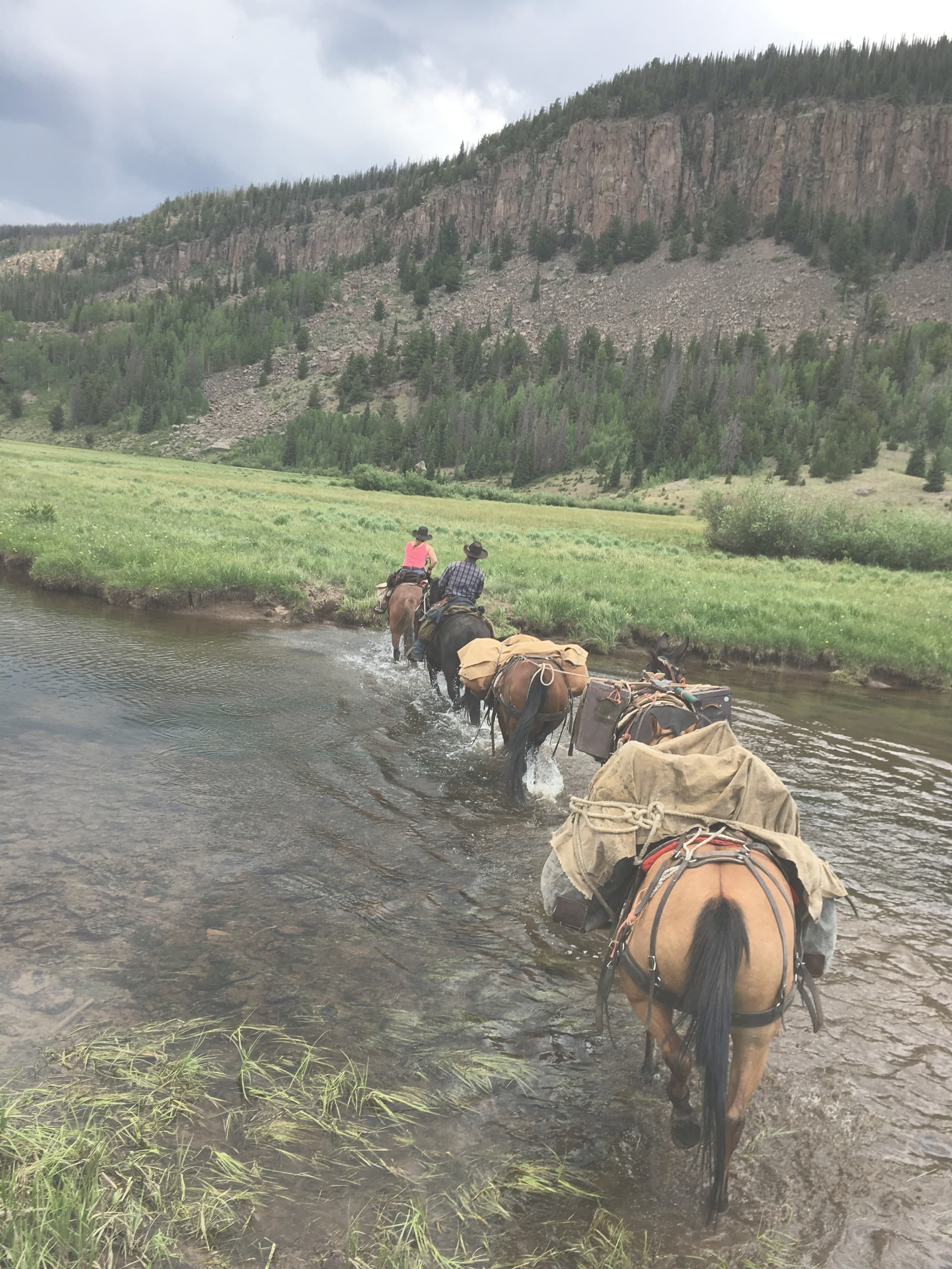 Lobo Outfitters logo