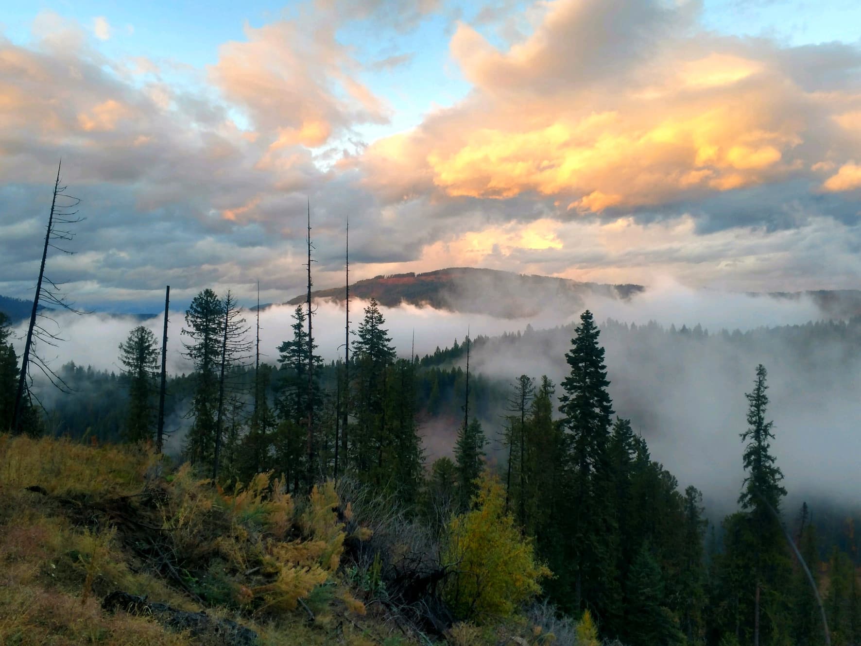 Rasmussen Outfitters logo