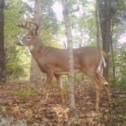 Triple Ridge Outfitters logo