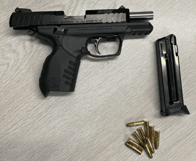 Confiscated firearms sell for more than $26k in online auction logo