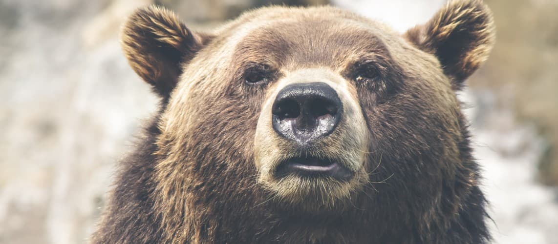 Arrowhead Fish & Game Conservation Club logo