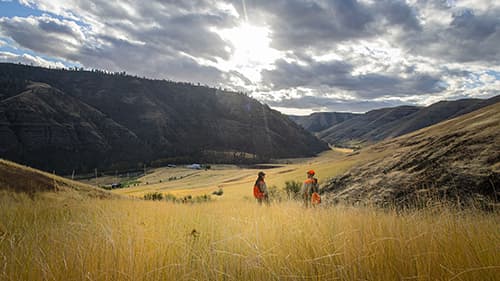 The Flying B Ranch logo