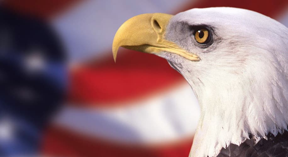 Patriot Pistol Training logo